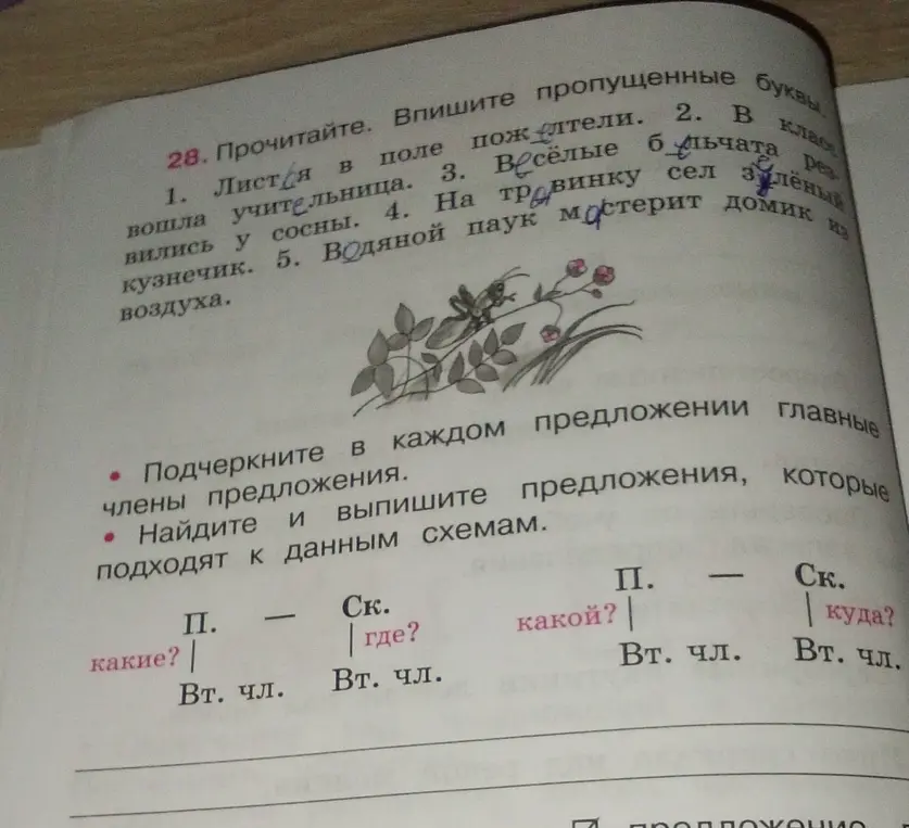 Прочитай и впиши пропущенные буквы в слова.