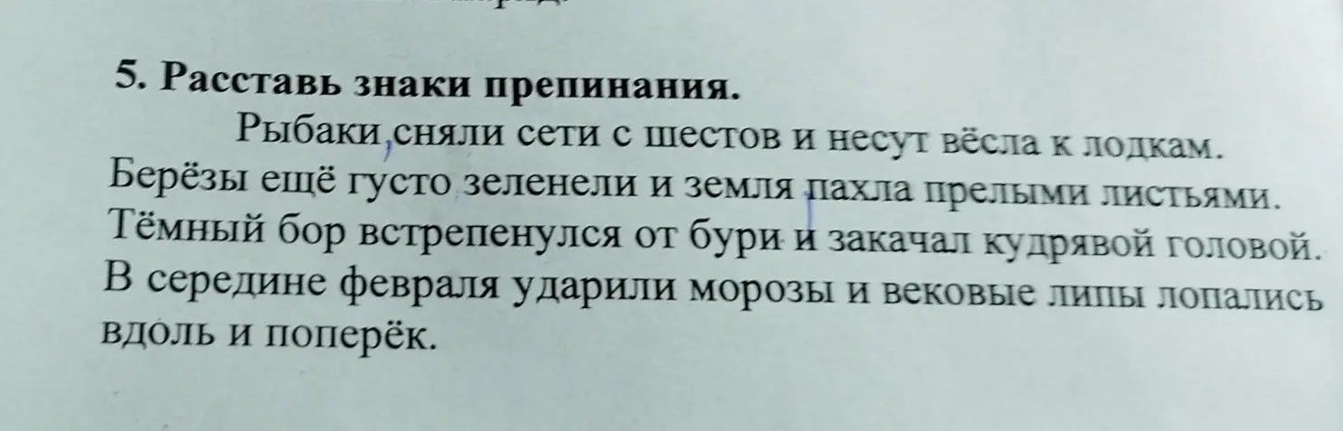 Расставь знаки препинания в предложениях.