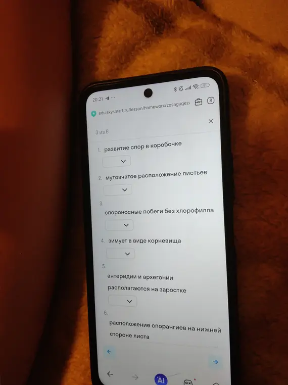 Ответь на вопросы про развитие спор в коробочке, мутовчатое расположение листьев, спороносные побеги без хлорофилла, зимовку в виде корневища, расположение антеридиев и архегоний на заростке, и расположение спорангиев на нижней стороне листа.
