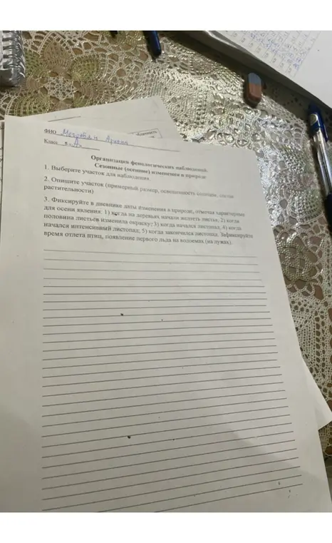 Выбери участок для наблюдения, опиши его, фиксируй в дневнике даты изменения в природе для осени.