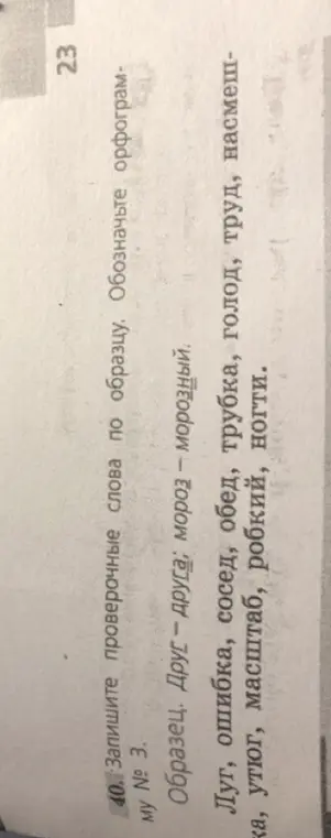 Запиши проверочные слова по образцу: Друг - друга; мороз - морозный.