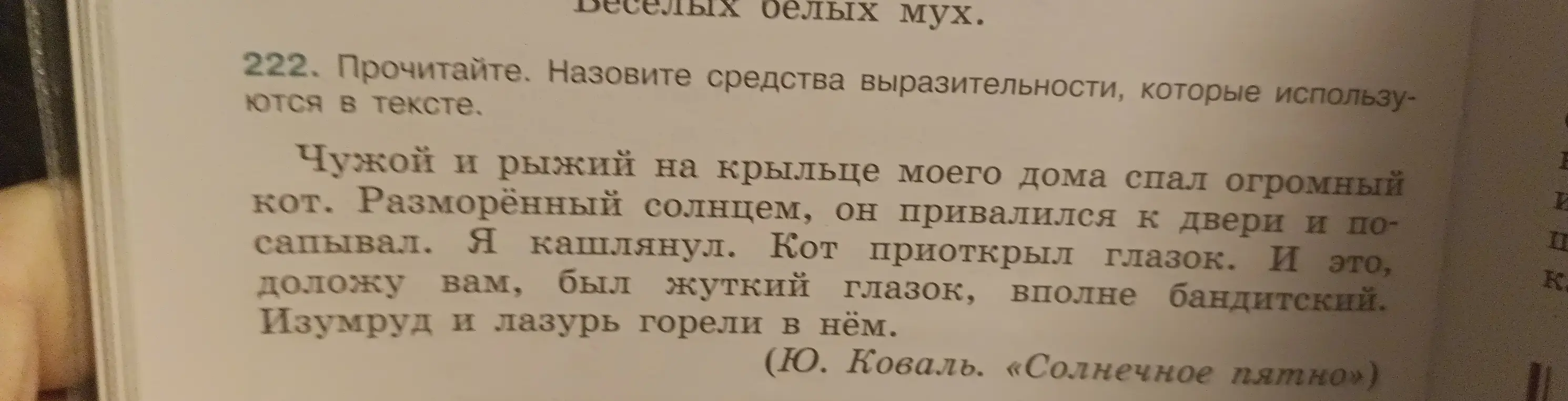 Назови средства выразительности, которые используются в тексте.