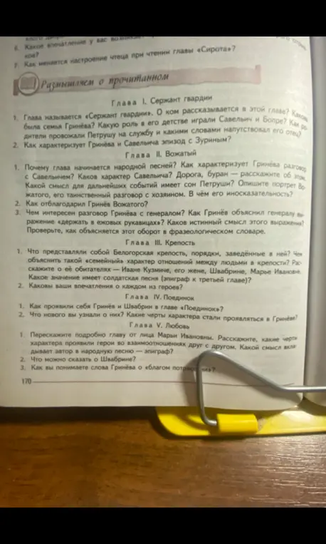 Ответь на вопросы по прочитанным главам произведения "Капитанская дочка".