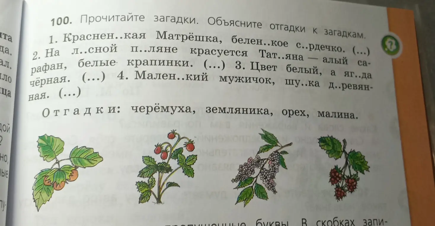 Прочитай загадки и объясни отгадки к загадкам.