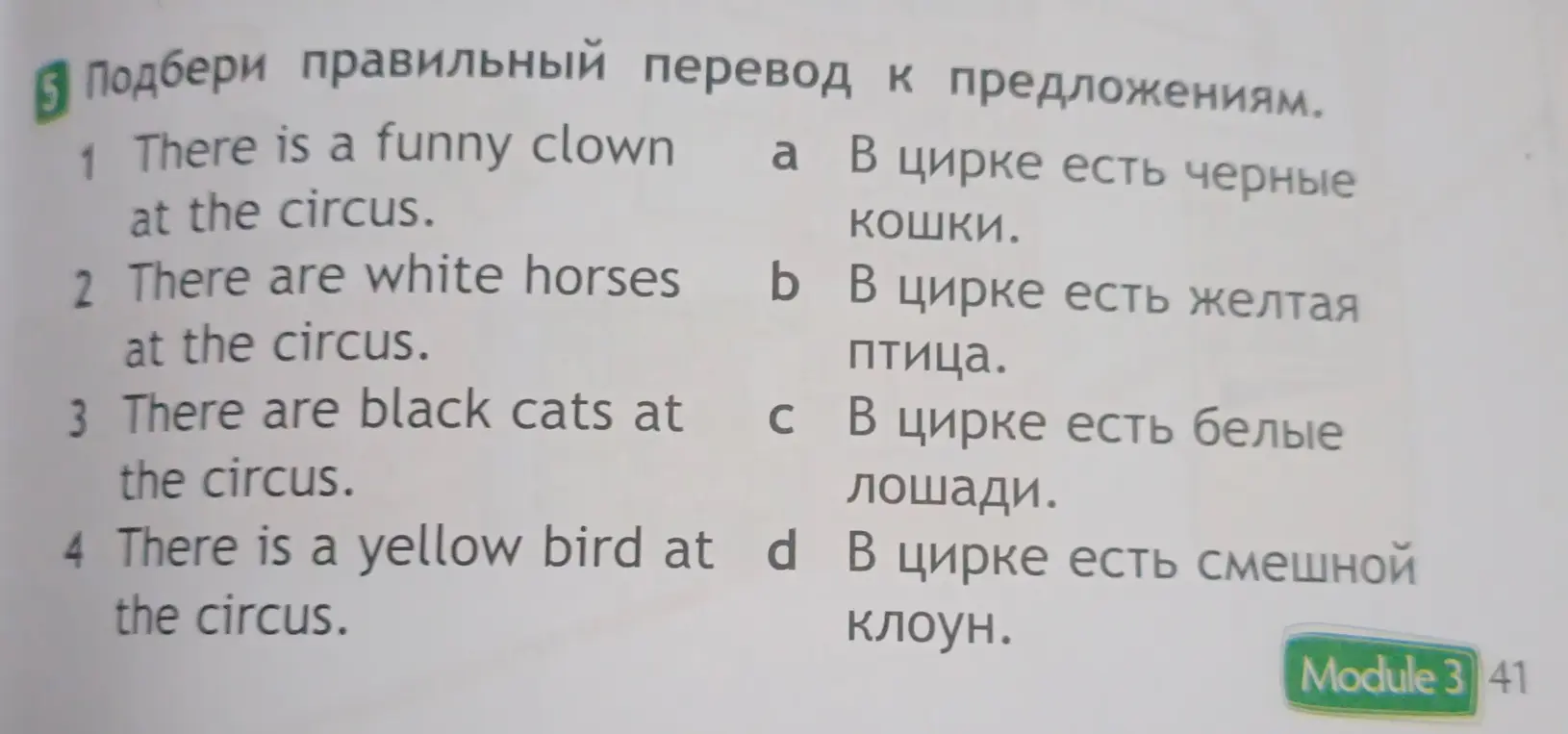 Подбери правильный перевод к предложениям.