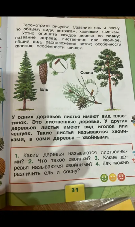 Ответь на вопросы: какие деревья называются лиственными, что такое хвоинки, какие деревья называются хвойными и как можно различить ель и сосну?