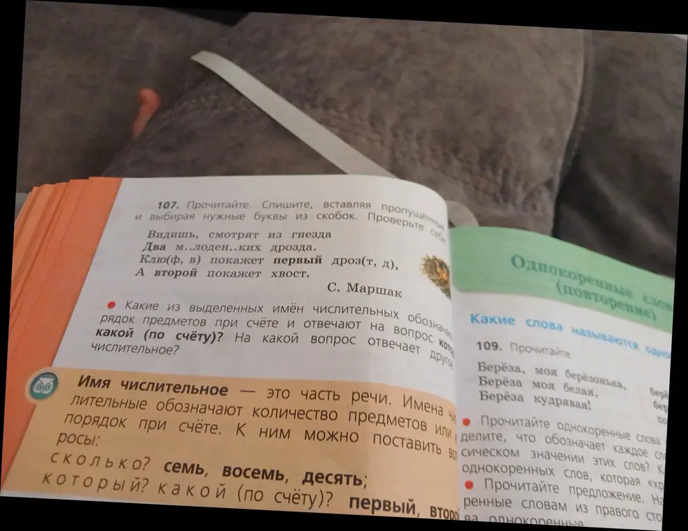 Ответь на вопросы к упражнению 107 про имена числительные в учебнике русского языка.