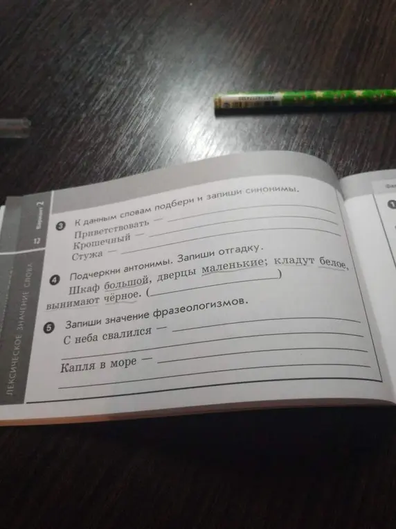К данным словам подбери и запиши синонимы; Подчеркни антонимы. Запиши отгадку; Запиши значение фразеологизмов.