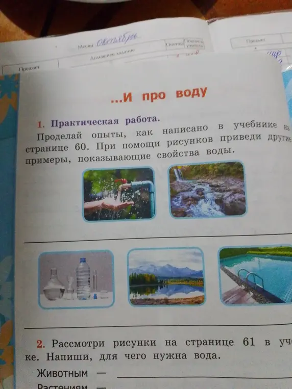Напиши, для чего нужна вода животным и растениям.