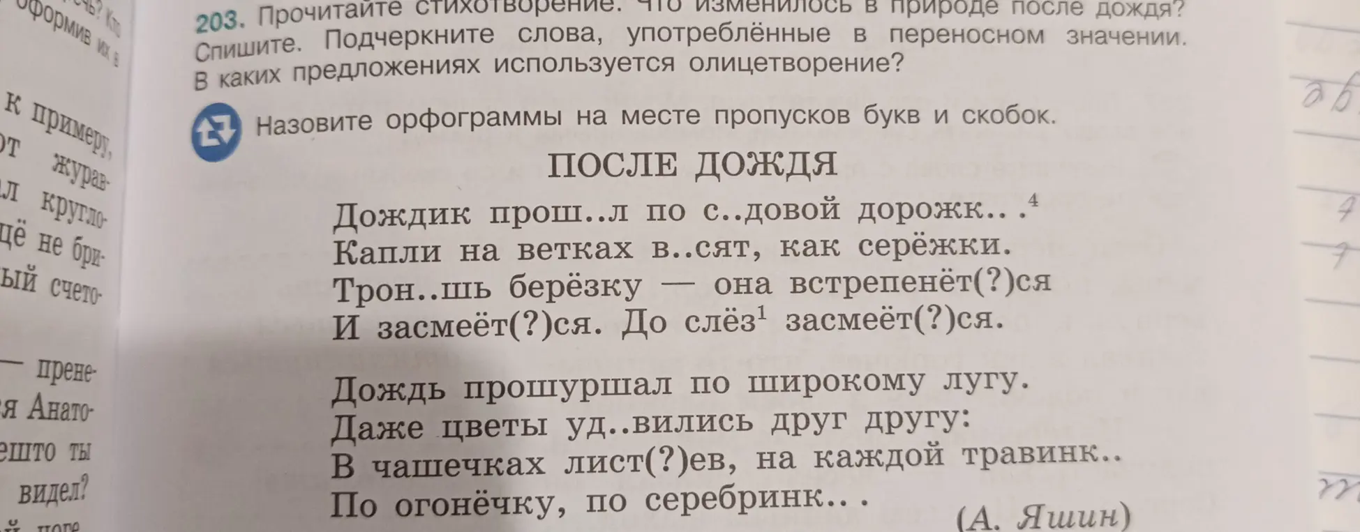 Назови орфограммы на месте пропусков букв и скобок в стихотворении "После дождя".