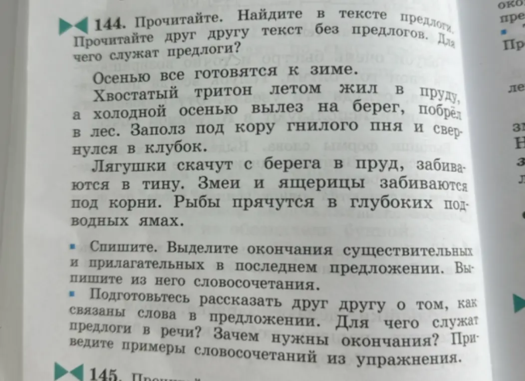 Выдели окончания существительных и прилагательных в последнем предложении и выпиши из него словосочетания.