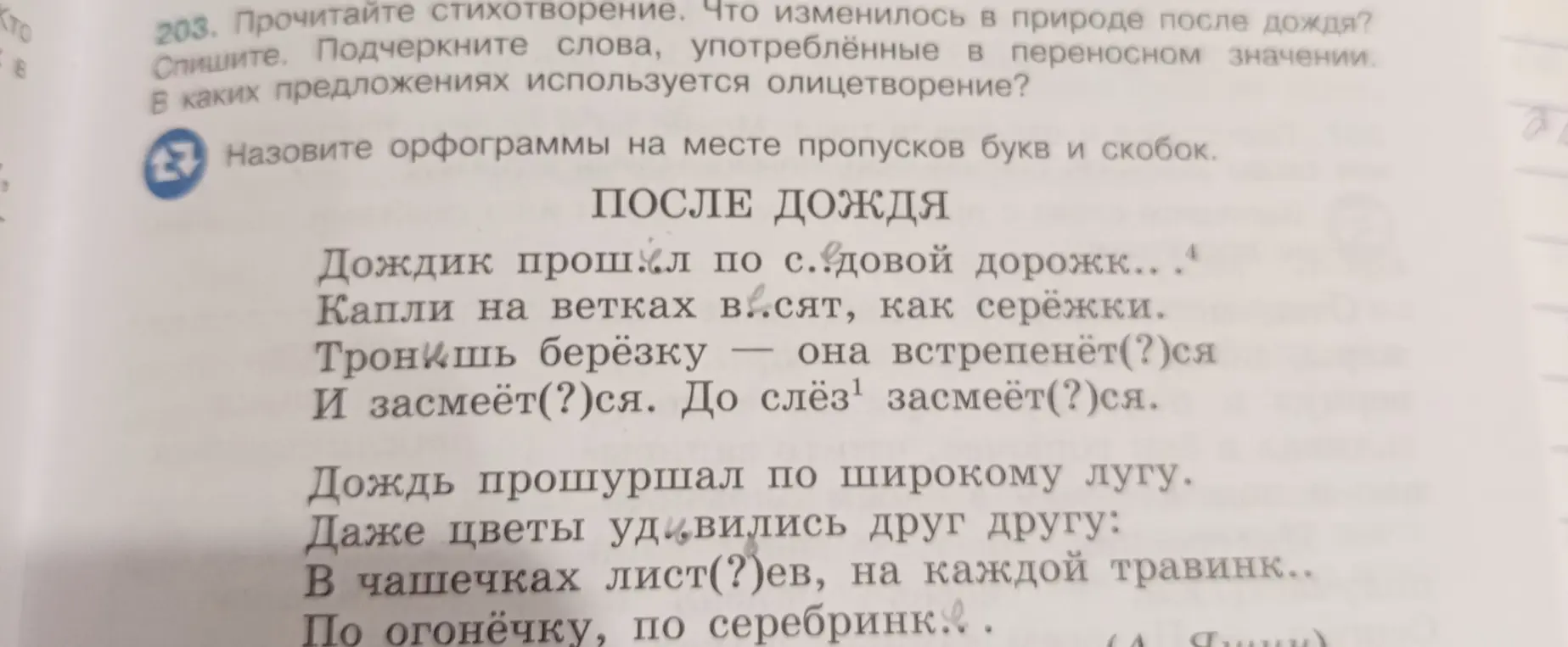 Назови орфограммы на месте пропусков букв и скобок в стихотворении "После дождя".