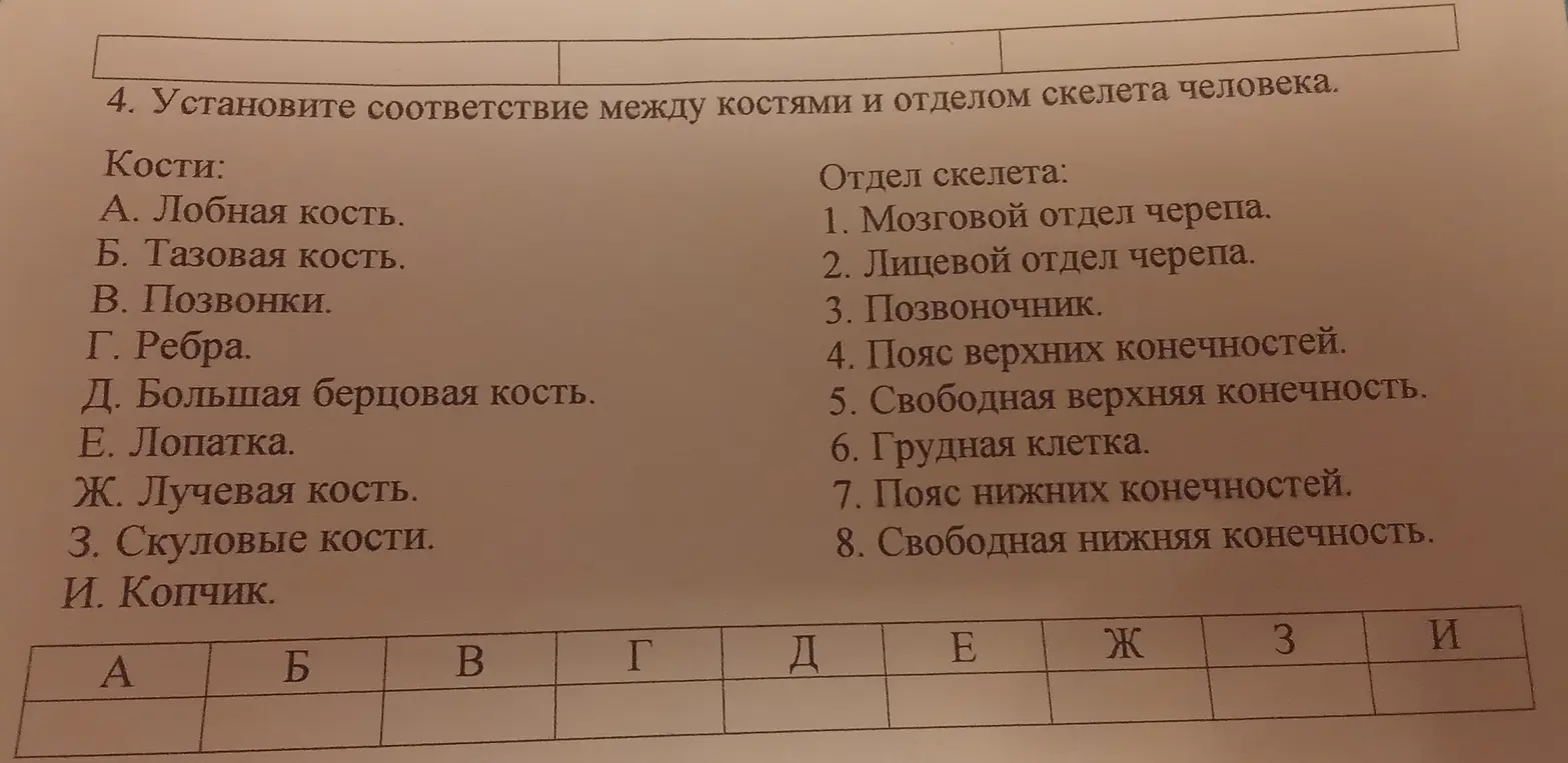 Установи соответствие между костями и отделом скелета человека.