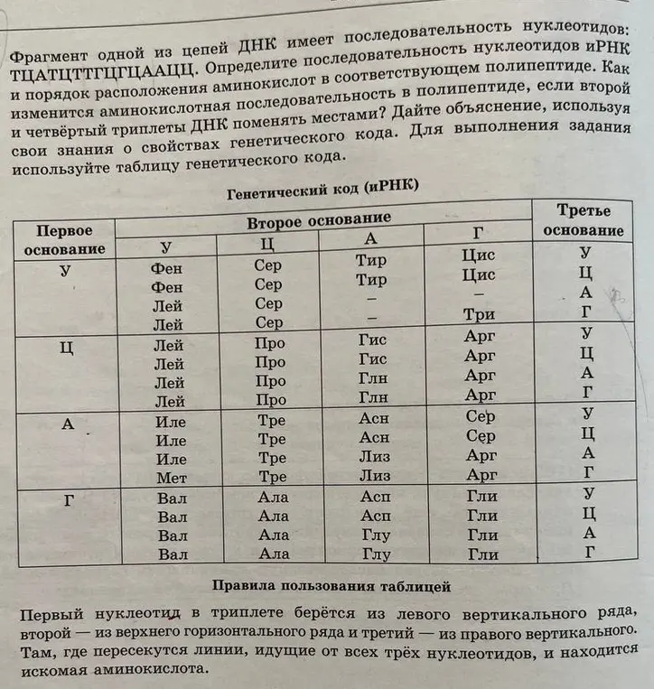 Определи последовательность нуклеотидов иРНК и порядок расположения аминокислот в полипептиде. Объясни, как изменится аминокислотная последовательность при перестановке триплетов ДНК.