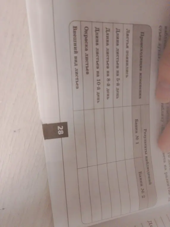 Заполни таблицу результатов наблюдений за листьями в банках.