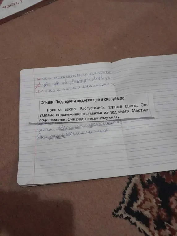 Спиши текст и подчеркни подлежащее и сказуемое.