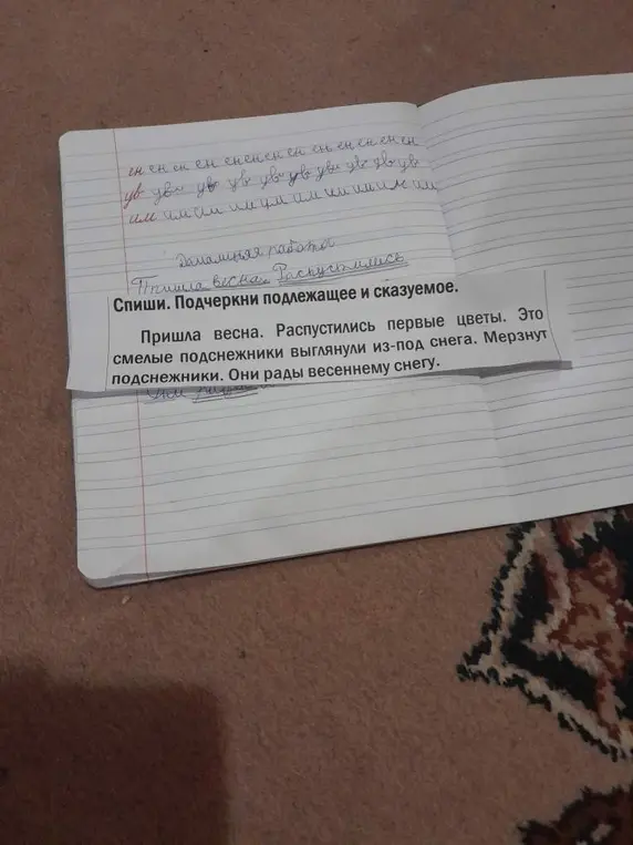 Спиши текст и подчеркни подлежащее и сказуемое.
