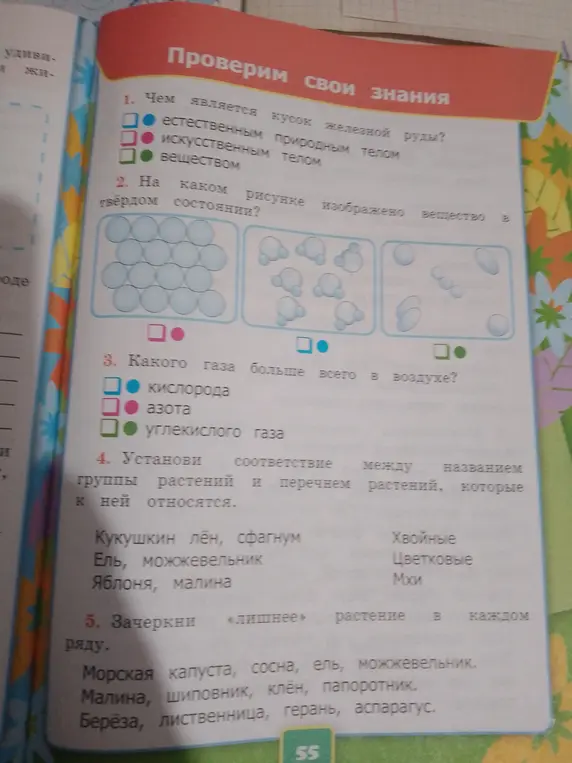 Ответь на вопросы: чем является кусок железной руды, на каком рисунке изображено вещество в твёрдом состоянии, какого газа больше всего в воздухе, установи соответствие между названием группы растений и перечнем растений, зачеркни лишнее растение в каждом ряду.