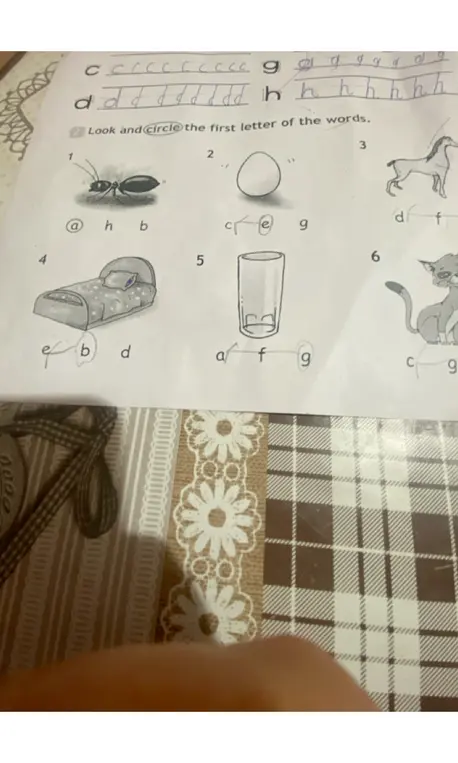 Посмотри и обведи первую букву слов.