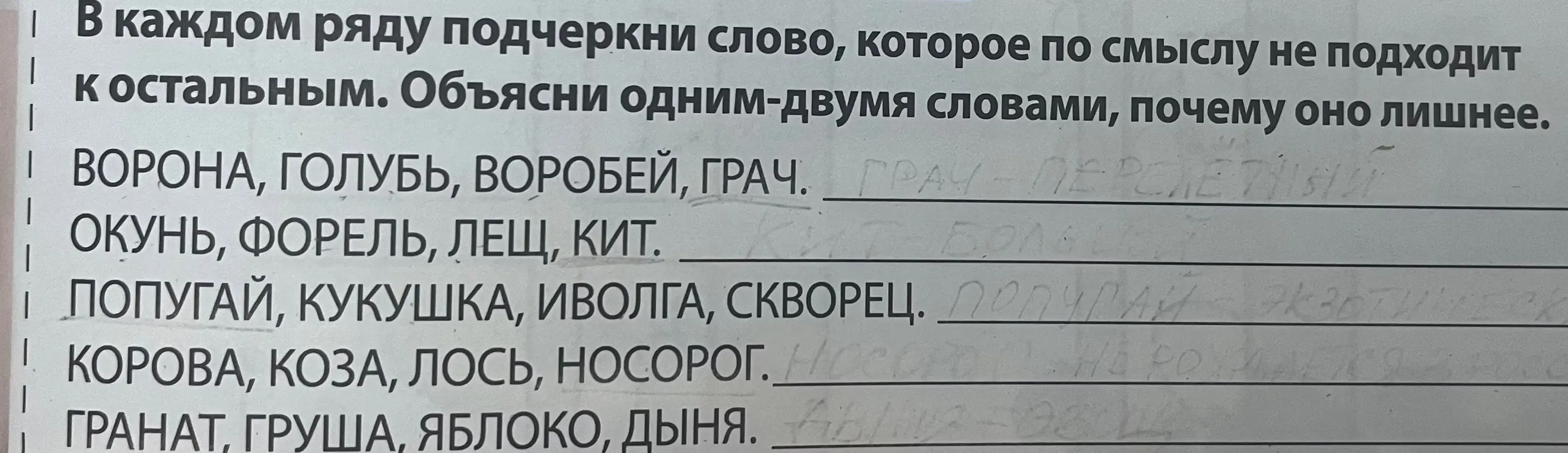 Подчеркни слово, которое по смыслу не подходит к остальным в каждом ряду, и объясни, почему оно лишнее.