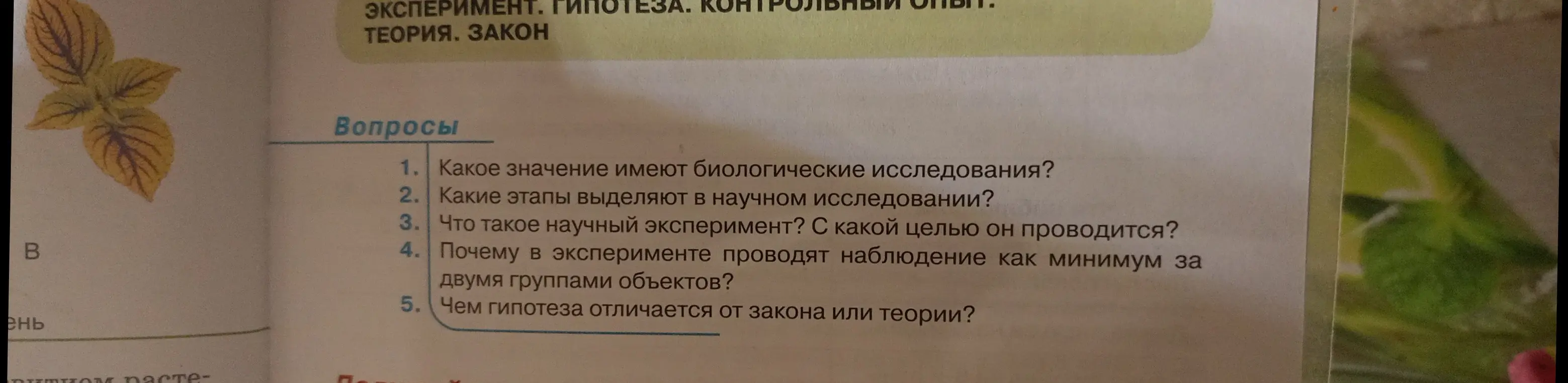 Ответь на вопросы: какое значение имеют биологические исследования, какие этапы выделяют в научном исследовании, что такое научный эксперимент, почему в эксперименте проводят наблюдение, чем гипотеза отличается от закона или теории?