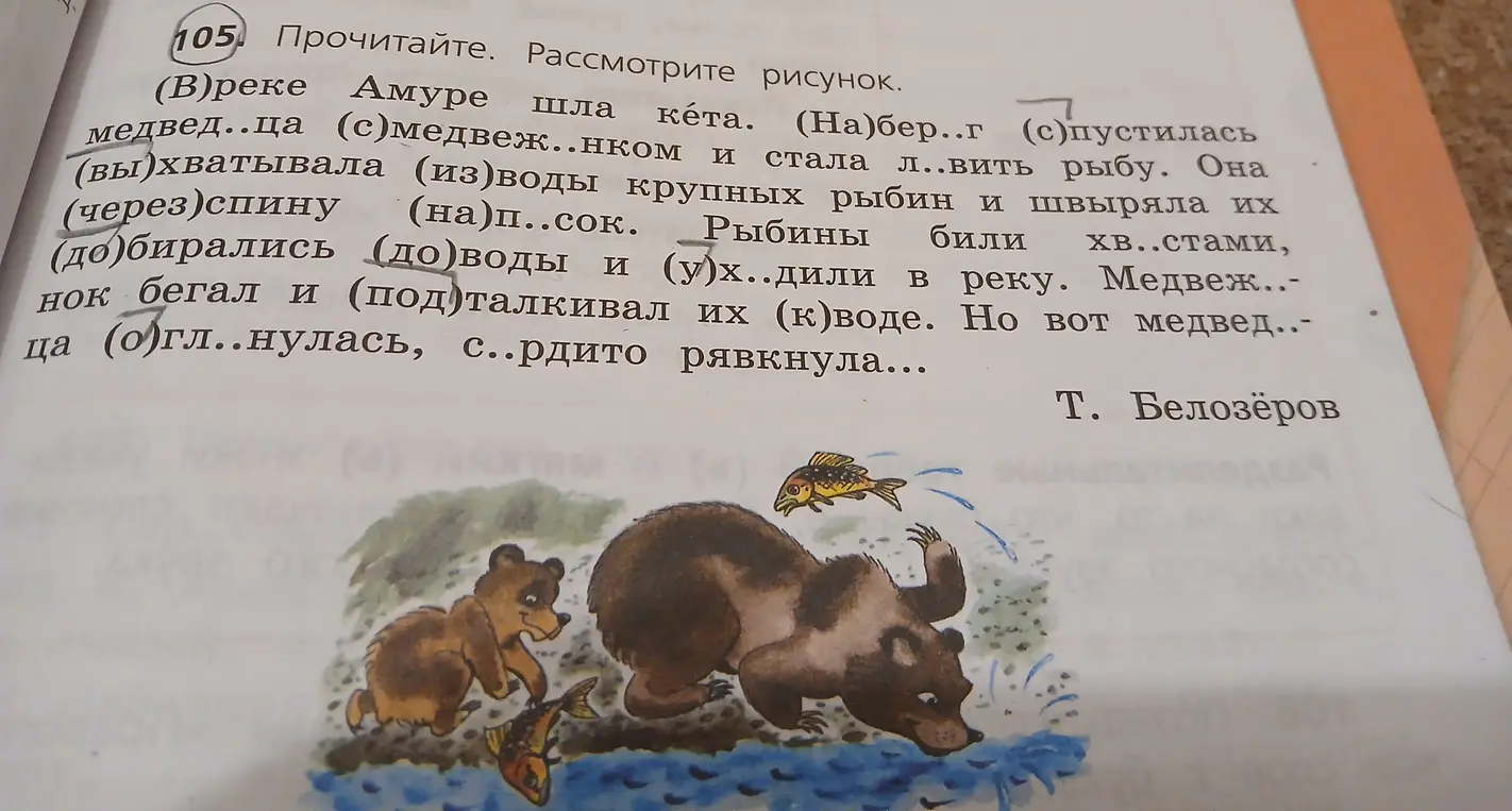 Прочитай и вставь пропущенные буквы в тексте про медведицу и кету.