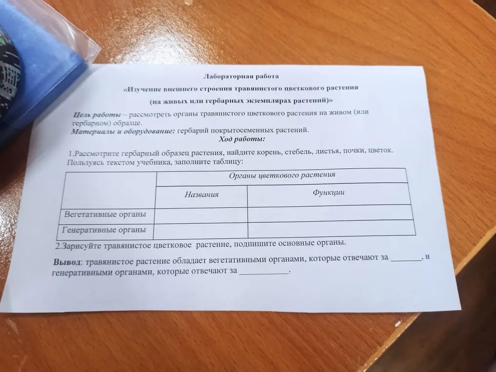 Рассмотри гербарный образец растения, найди корень, стебель, листья, почки, цветок и заполни таблицу.