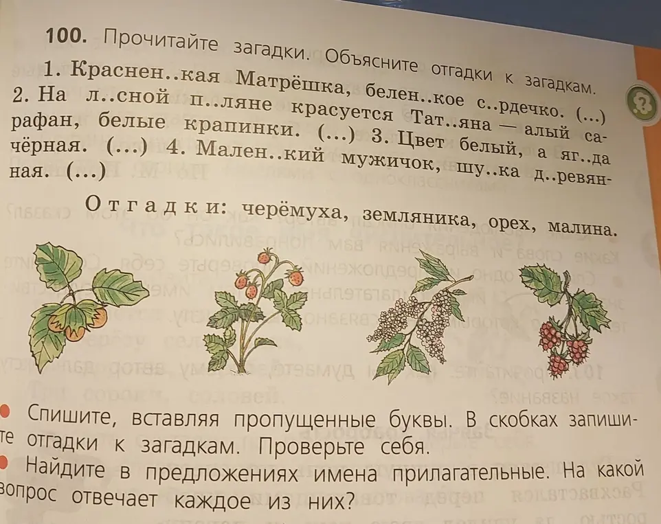 Прочитай загадки, объясни отгадки к загадкам, спиши, вставляя пропущенные буквы, в скобках запиши отгадки к загадкам и найди в предложениях имена прилагательные, определи вопрос.