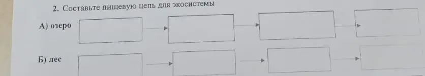 Составь пищевую цепь для экосистемы: озеро и лес.