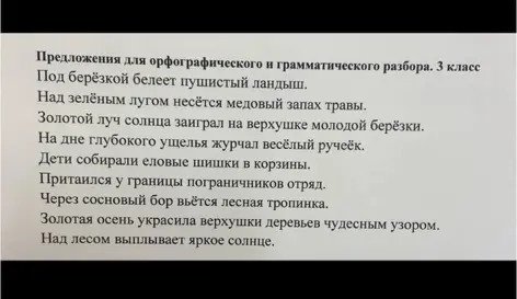 Выполни орфографический и грамматический разбор предложения "Под берёзкой белеет пушистый ландыш"
