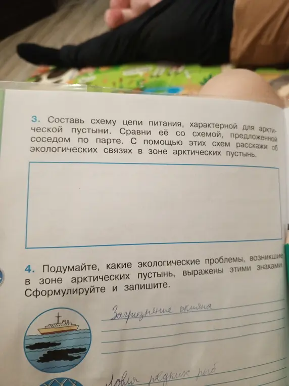 Составь схему цепи питания, характерной для арктической пустыни и подумай, какие экологические проблемы, возникшие в зоне арктических пустынь, выражены этими знаками