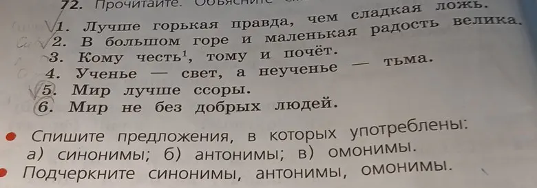 Спиши предложения, в которых употреблены синонимы, антонимы, омонимы и подчеркни их.