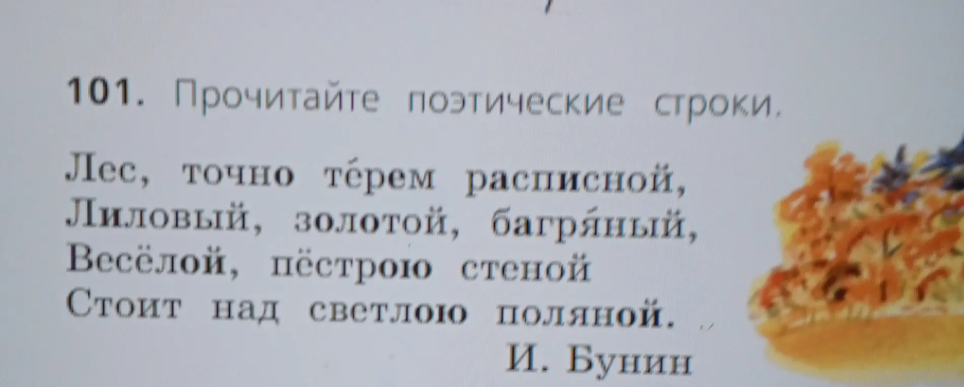 Подчеркни прилагательные в каждом предложении.