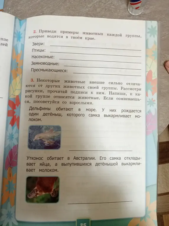 Напиши, к какой группе относятся дельфины и утконос.