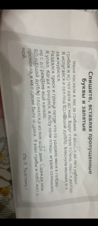 Спиши текст, вставляя пропущенные буквы и запятые.