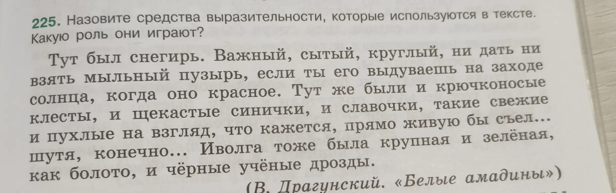 Назови средства выразительности, которые используются в тексте, и укажи, какую роль они играют.