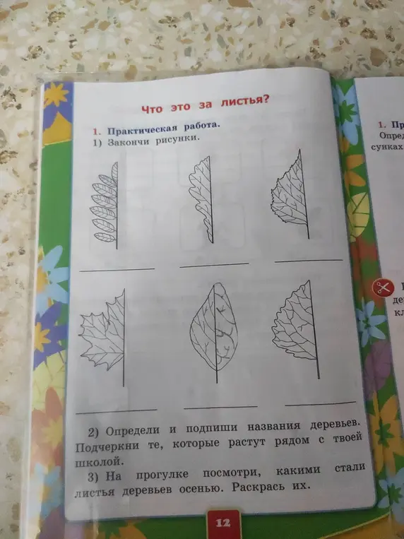 Закончи рисунки листьев, определи и подпиши названия деревьев, раскрась листья деревьев осенью.