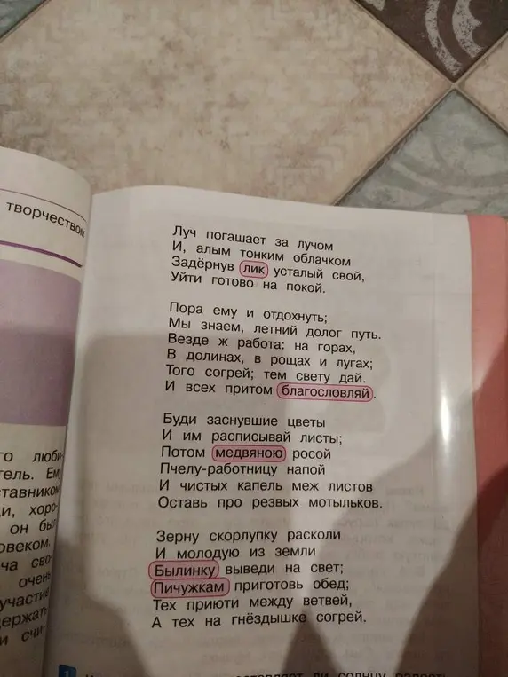 Выпиши рифмующиеся слова.
