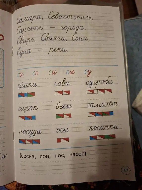 Составь предложения со словами: санки, сова, сугробы, сироп, весы, самолёт, посуда, осы, косички, сосна, сон, нос, насос.