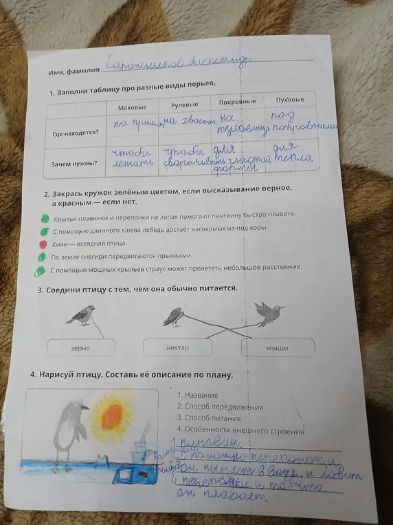 Заполни таблицу про разные виды перьев, раскрась кружки, соедини птицу с тем, чем она обычно питается, нарисуй птицу и составь её описание по плану.
