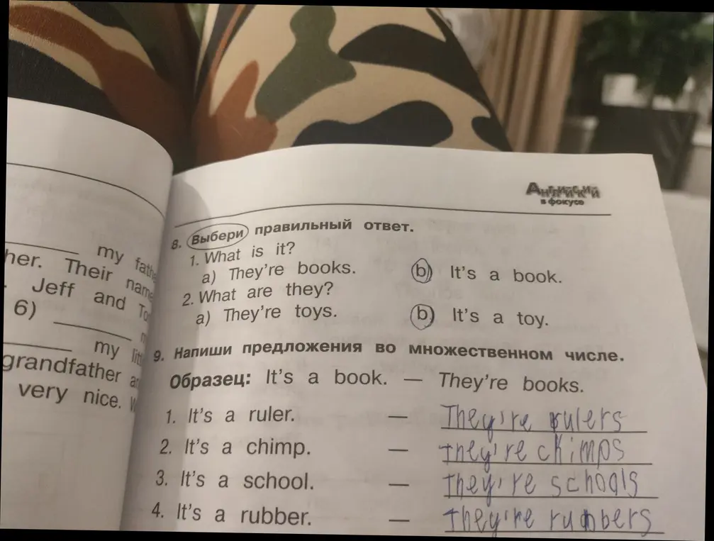 Выбери правильный ответ и напиши предложения во множественном числе.