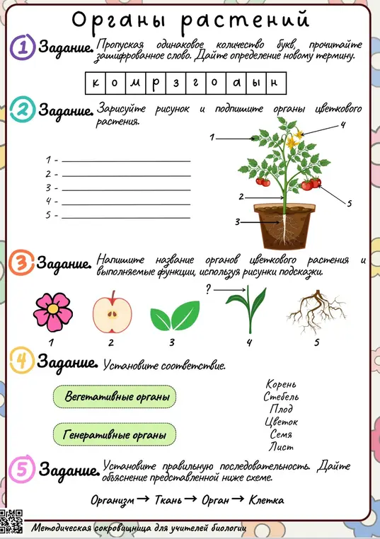 Выполни задания про органы растений.
