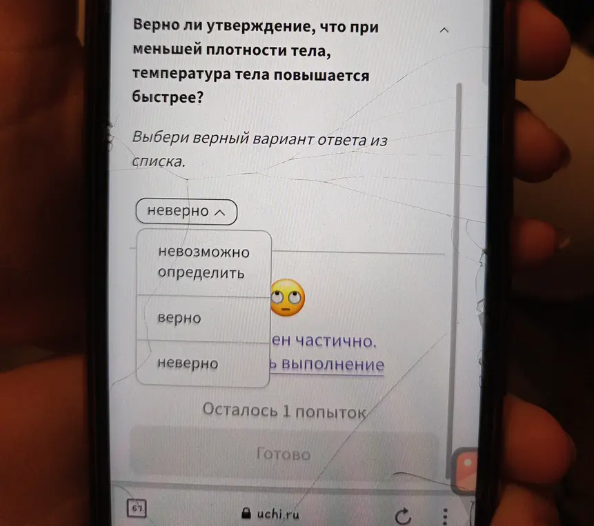 Ответь, верно ли утверждение, что при меньшей плотности тела, температура тела повышается быстрее.