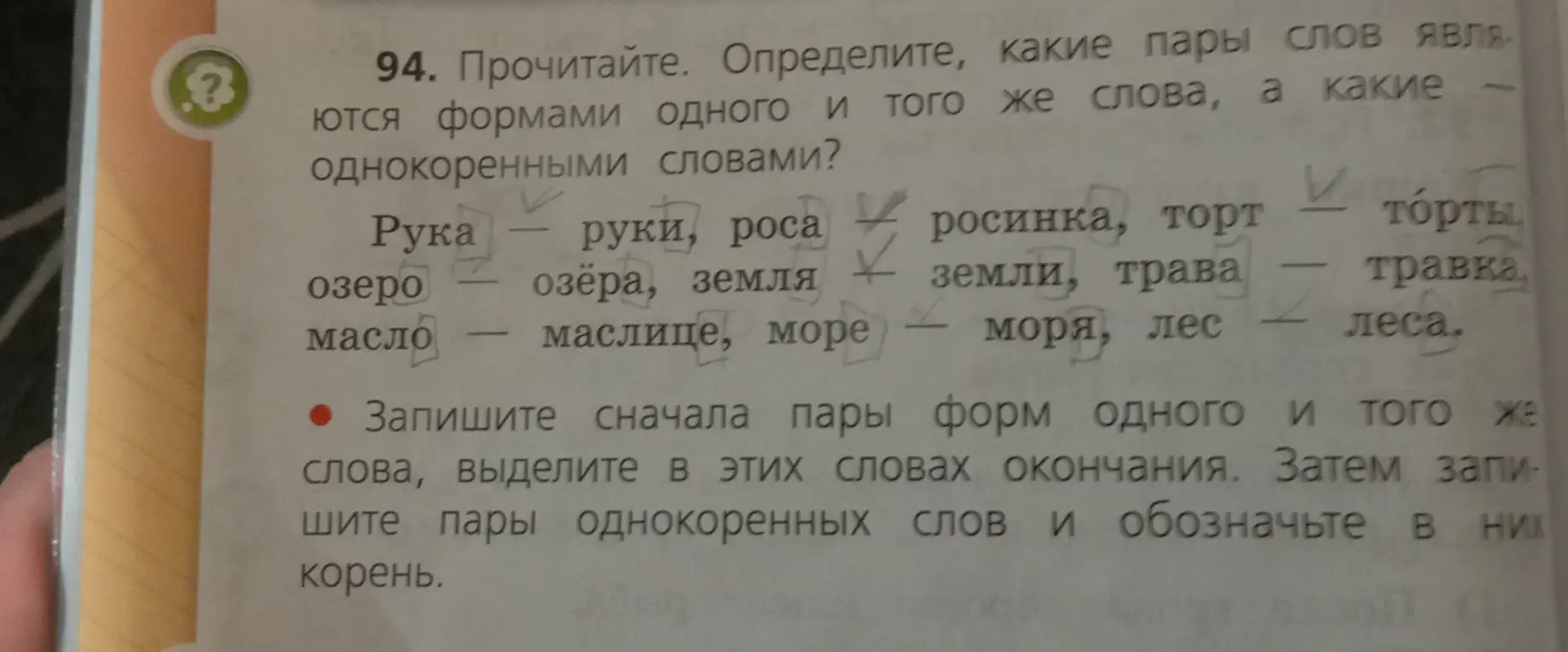 Определи, какие пары слов являются формами одного и того же слова, а какие однокоренными словами.
