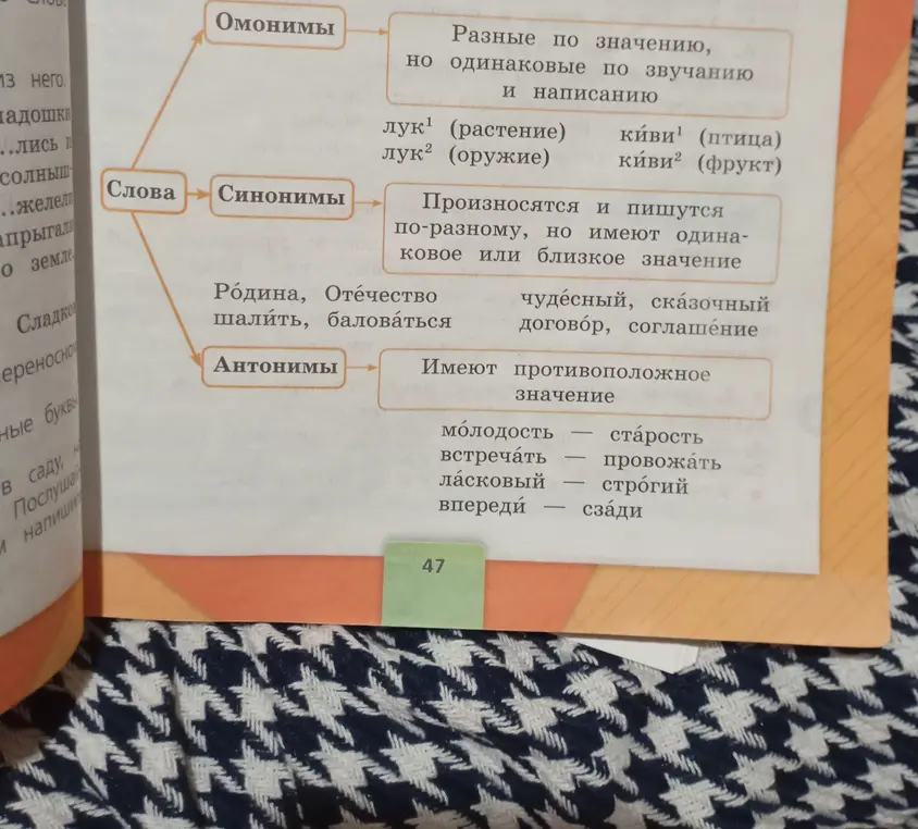 Объясни типы слов по значению: омонимы, синонимы и антонимы.