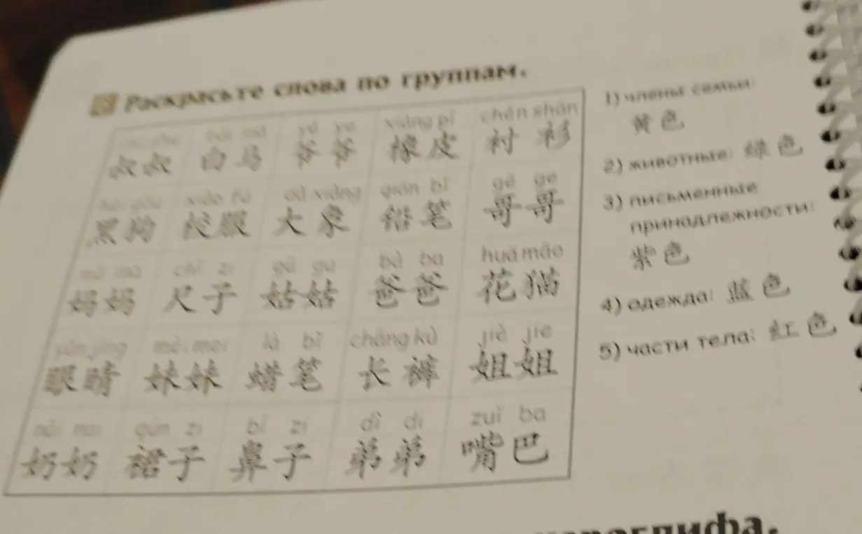 Раскрась слова по группам.