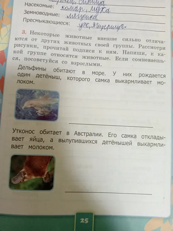 Напиши, к какой группе относятся дельфины и утконосы.