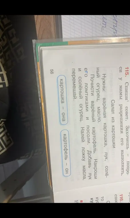 Определи род слов картошка и картофель