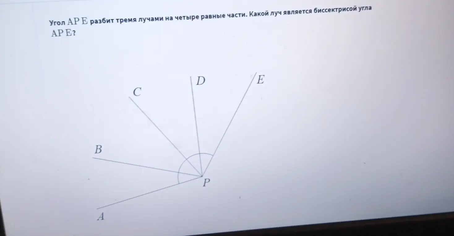 Определи луч, являющийся биссектрисой угла APE, который разбит тремя лучами на четыре равные части.