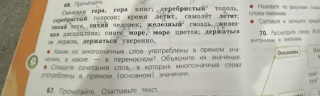 Определи, какие из многозначных слов употреблены в прямом значении, а какие в переносном. Объясни их значения и спиши сочетания слов, в которых многозначные слова употреблены в прямом (основном) значении.